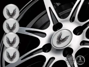 Pontiac Ruota Adesivi Edizione Etichette Epox Pregiate